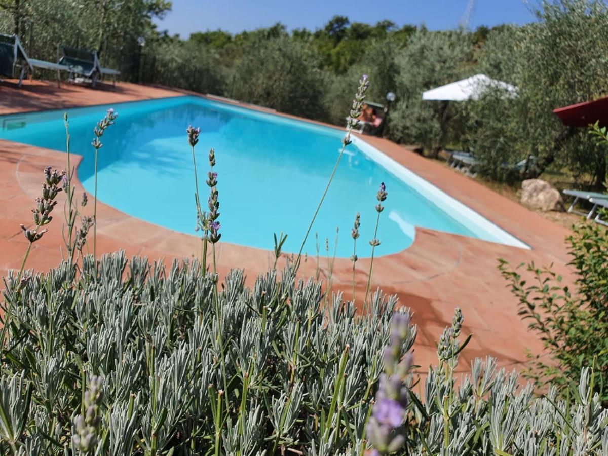 Agriturismo "Crocino In Chianti" Gaiole in Chianti Exterior photo